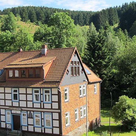 Hexenstieg House Lerbach Apartment Osterode am Harz ภายนอก รูปภาพ