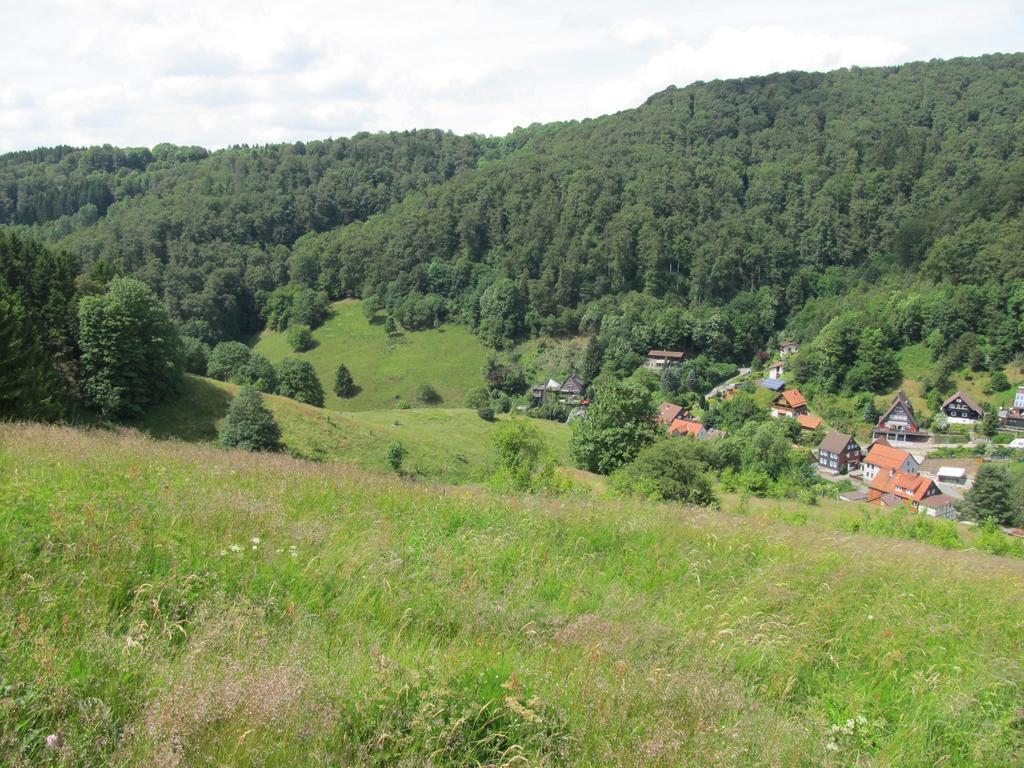 Hexenstieg House Lerbach Apartment Osterode am Harz ภายนอก รูปภาพ