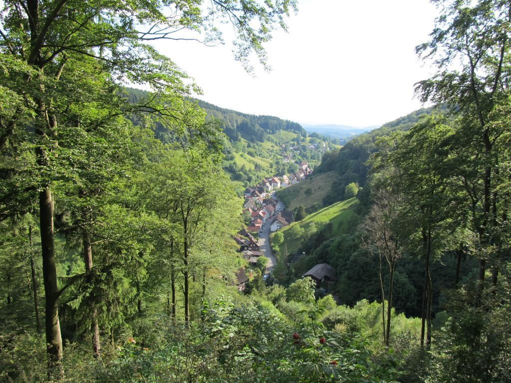 Hexenstieg House Lerbach Apartment Osterode am Harz ภายนอก รูปภาพ